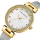 Elegant Women's Stainless Steel Quartz Watch Fashion