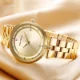 Mini Focus Women’s Stylish Quartz Watch Luxury Mesh Strap