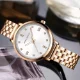 Mini Focus Women’s Quartz Watch with Golden Stainless Steel