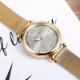 Mini Focus Wholesale Luxury Women Watch Royal Golden Mesh