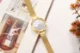 MINI FOCUS Women’s Luxury Quartz Watch Milanese Mesh Strap