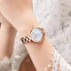 MINI FOCUS Stylish Women’s Quartz Watch Luxury Stainless