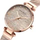 Elegant Quartz Watch for Women Stainless Steel Mesh MINI