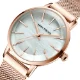 Mini Focus Women's Quartz Watch Steel Mesh Belt Simple