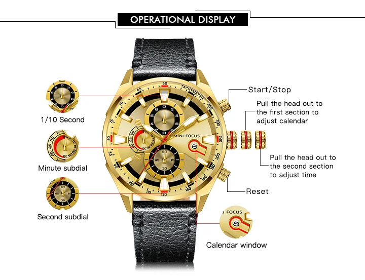 Mini Focus MF0202G Men's Business Chronograph Watch | Genuine Leather | Waterproof Quartz Factory OEM